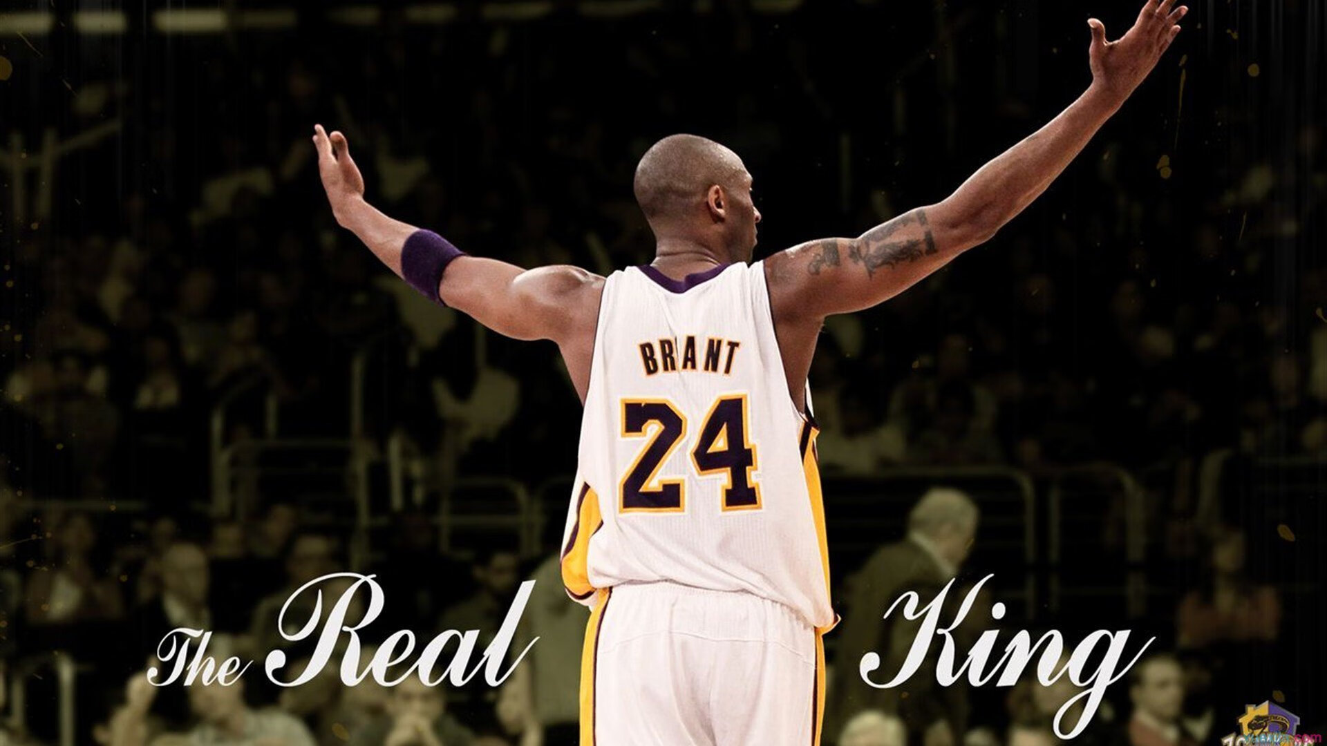 体育赛事数字管理平台开发，体育赛事智能化管理